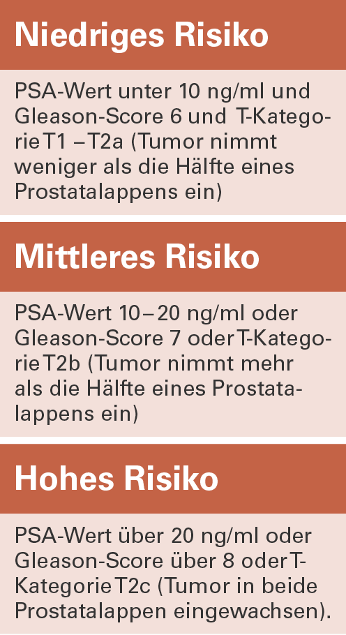 Risikoabschätzung