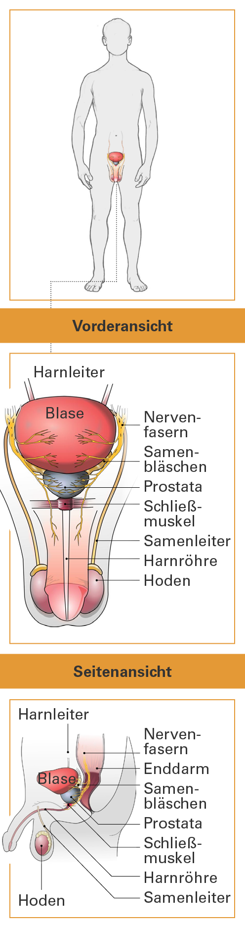 Vorsorge wissen